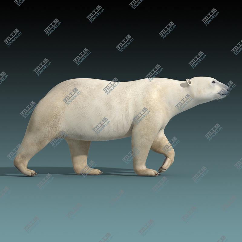 images/goods_img/2021040235/Polar Bear(RIGGED)/2.jpg